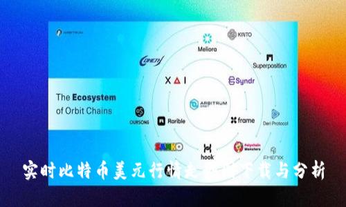 实时比特币美元行情走势图下载与分析
