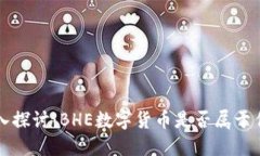 深入探讨：BHE数字货币是