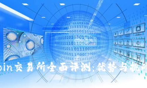 Topcoin交易所全面评测:优势与挑战解析