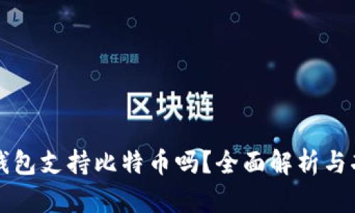 小狐狸钱包支持比特币吗?全面解析与功能介绍