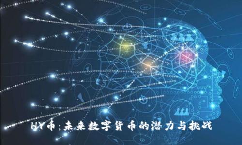 HY币:未来数字货币的潜力与挑战