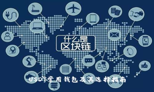USDT常用钱包及其选择指南