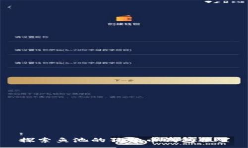:
探索鱼池的狗狗币钱包位置
