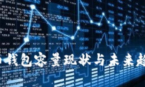 比特币钱包容量现状与未来趋势分析