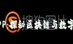 币圈资讯APP：探秘区块链与数字货币的未来