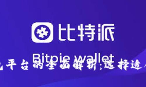 比特币钱包平台的全面解析：选择适合你的钱包