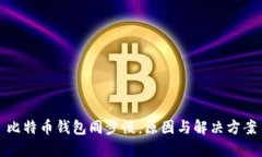 比特币钱包同步慢：原因与解决方案