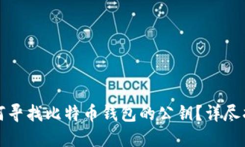 如何寻找比特币钱包的公钥？详尽指南