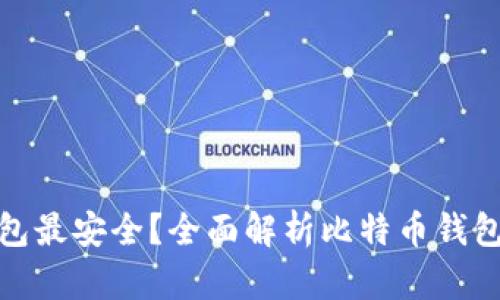 哪种比特币钱包最安全？全面解析比特币钱包类型与安全性