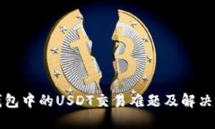 冷钱包中的USDT交易难题及解决方案
