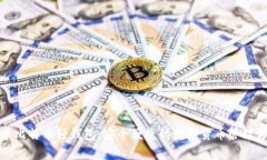 安卓比特币轻钱包：安全便捷的数字货币管理方