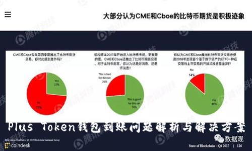 Plus Token钱包到账问题解析与解决方案